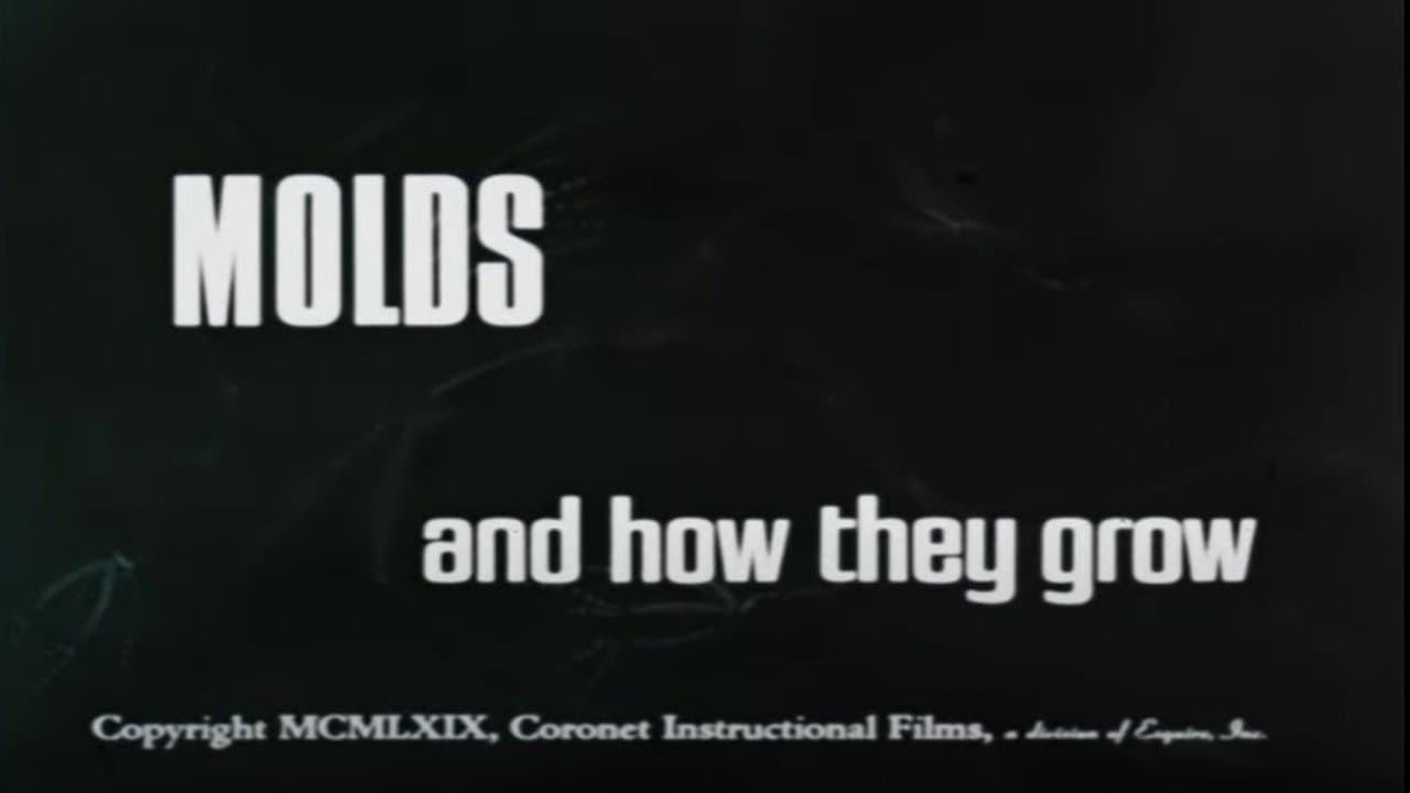 Molds and How They Grow