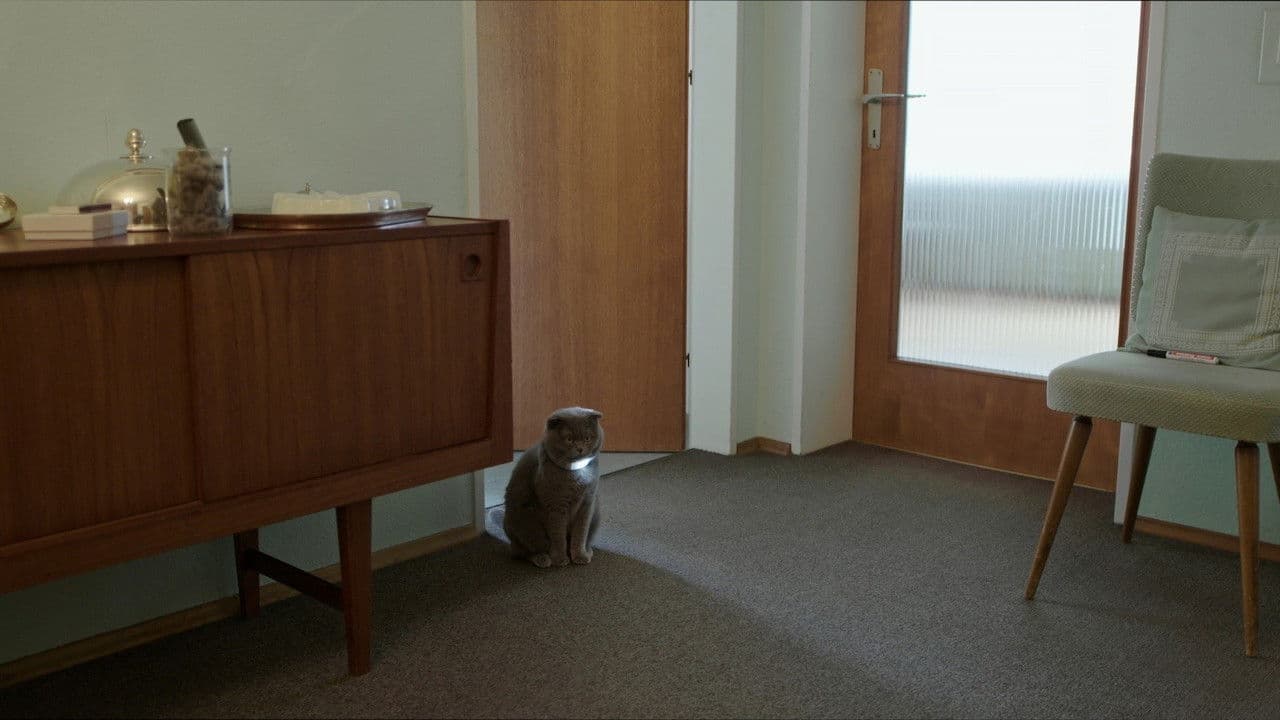 Nachts sind alle Katzen grau