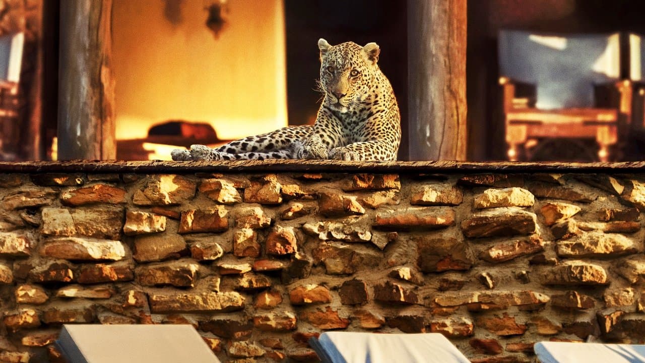 El año que cambió a la Tierra