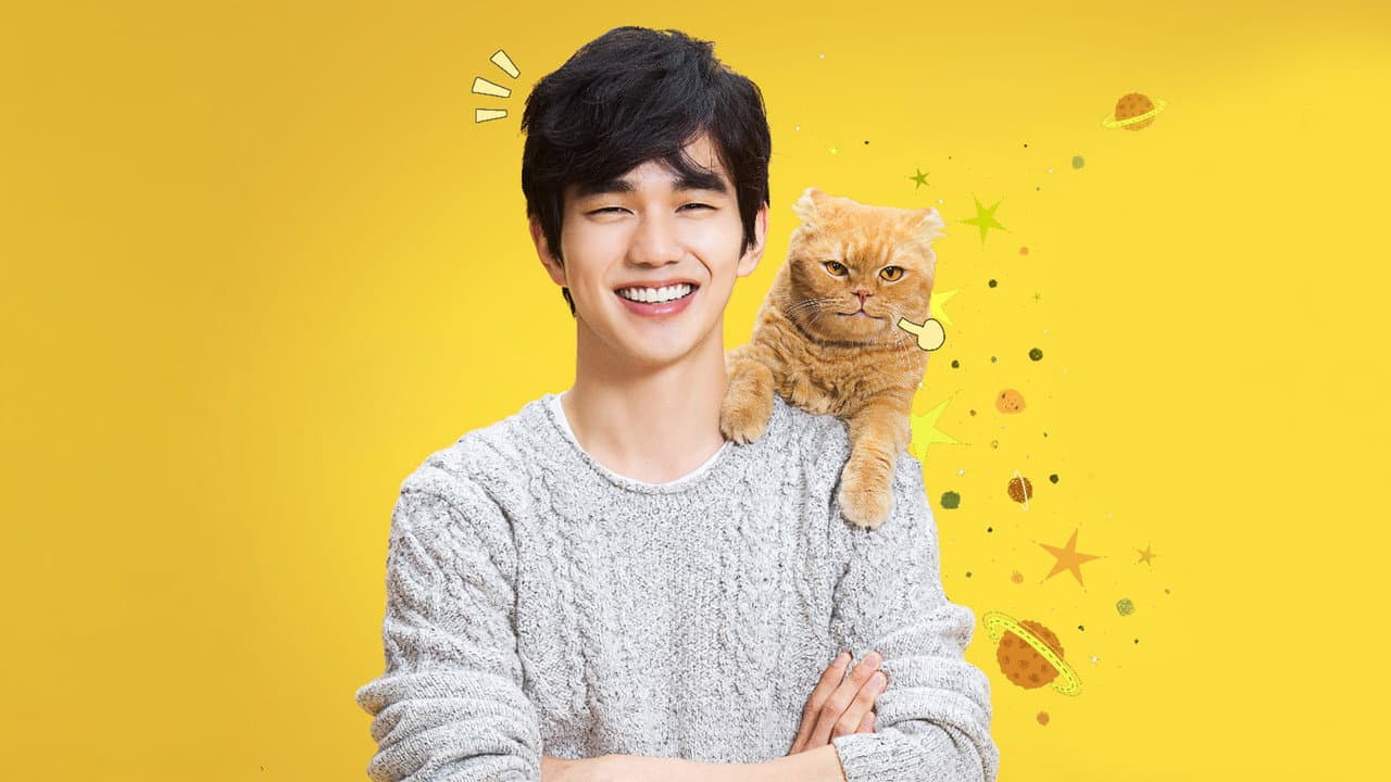 상상고양이