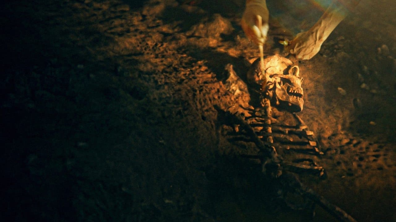 Secretos de los neandertales