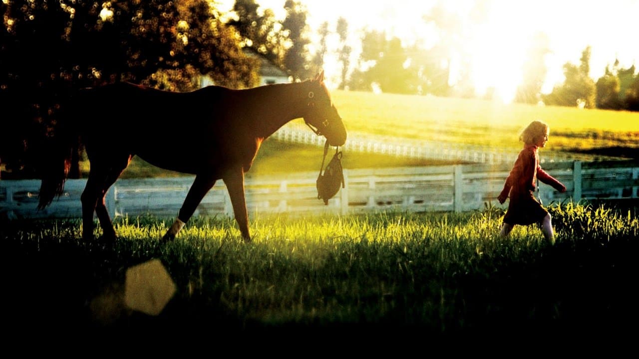 Persiguiendo un sueño: Basada en una historia real