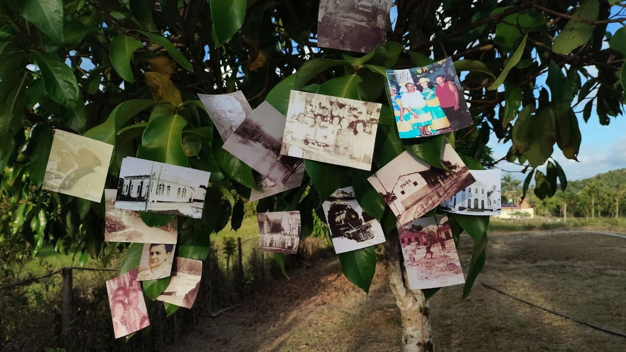 As Mãos Que Ergueram Rio Fundo, Antes De Muniz Ferreira