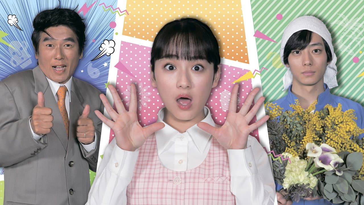 ひまわりっ~宮崎レジェンド~
