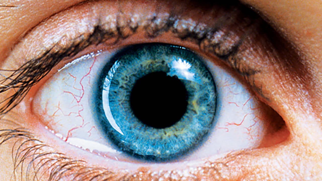 Réquiem por un Sueño