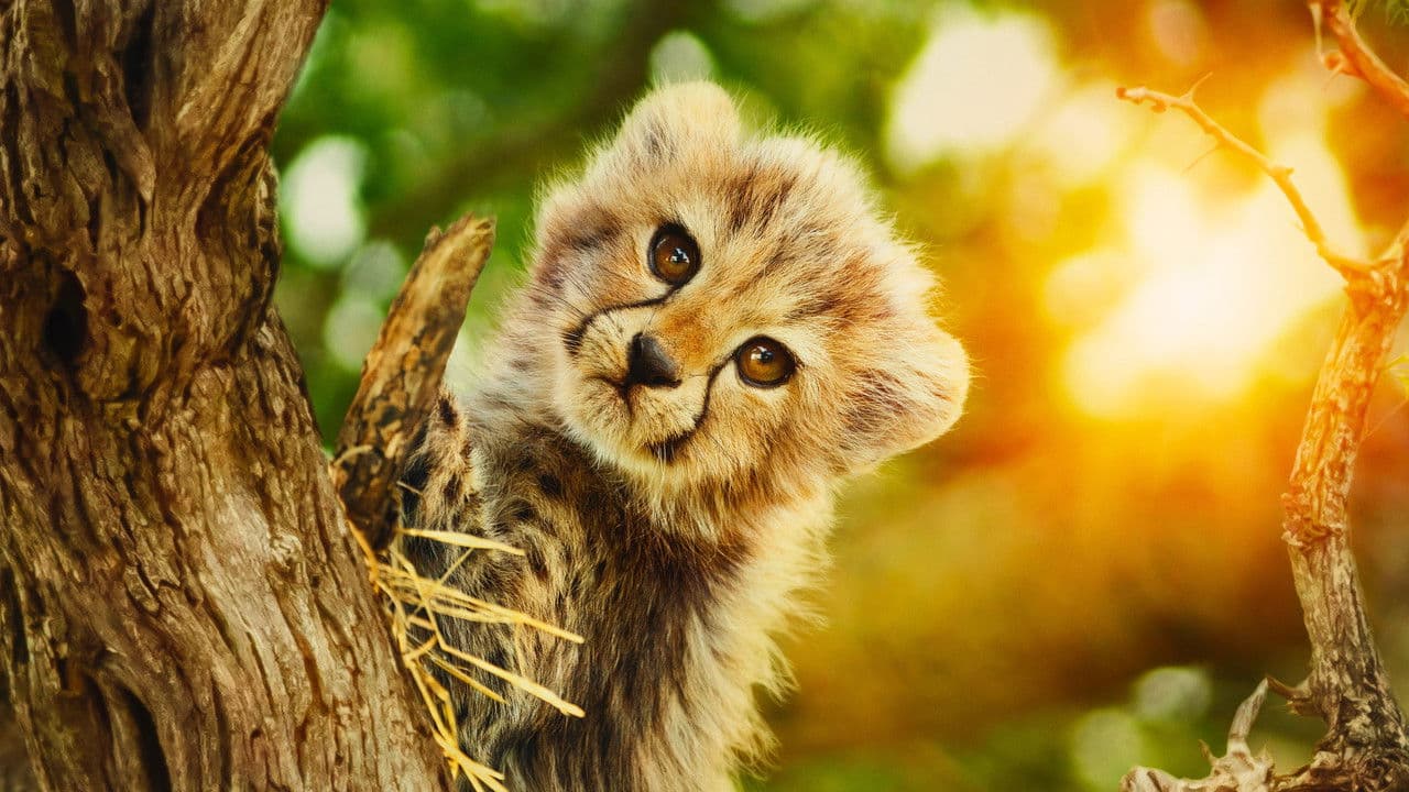 Salvajes por naturaleza