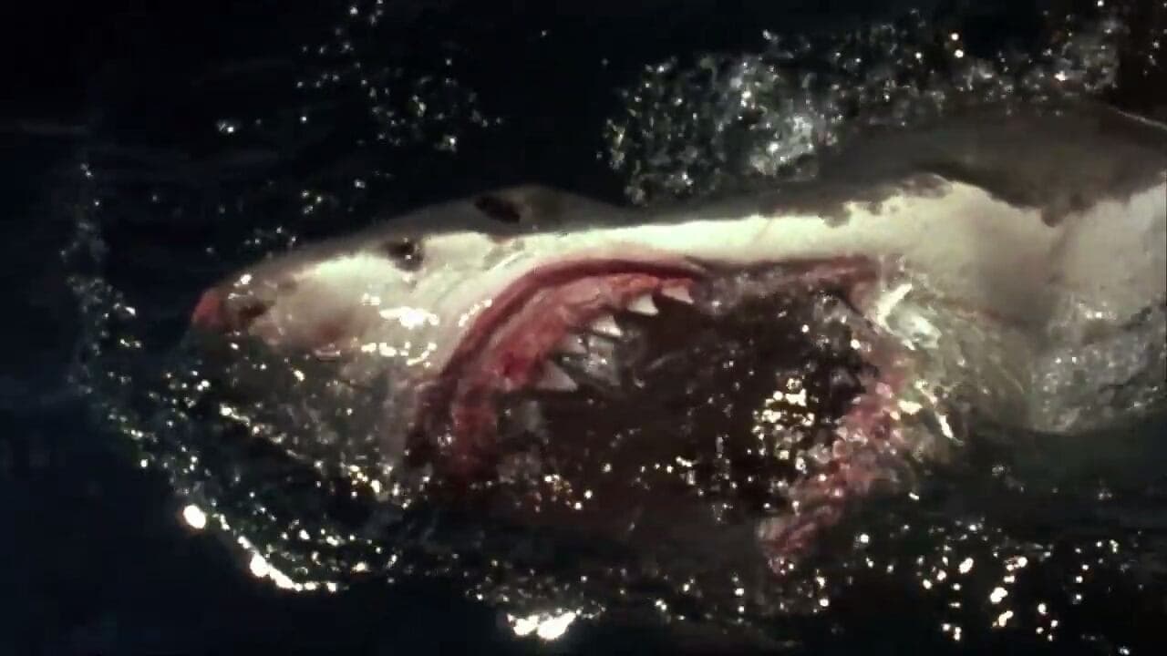 Peligro En El Mar