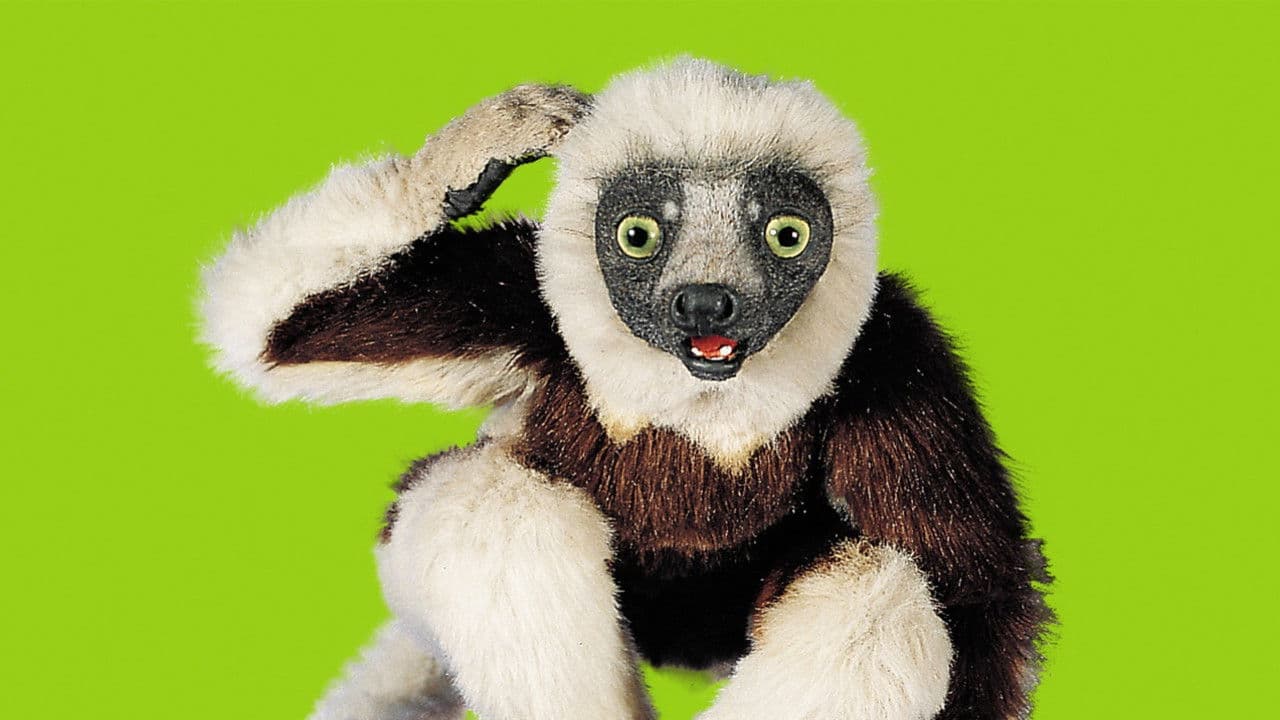 Zooboomafoo