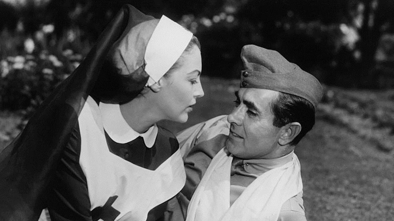 Y ahora brilla el sol