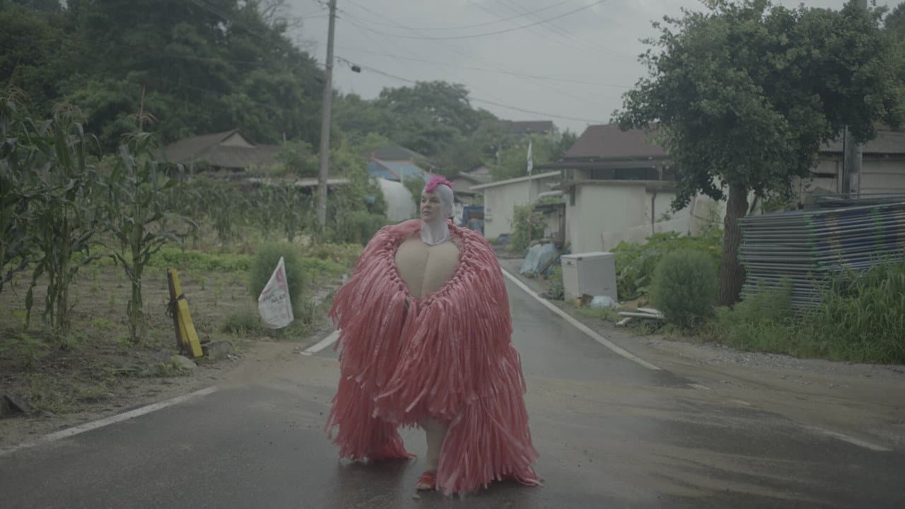 비커밍 킴