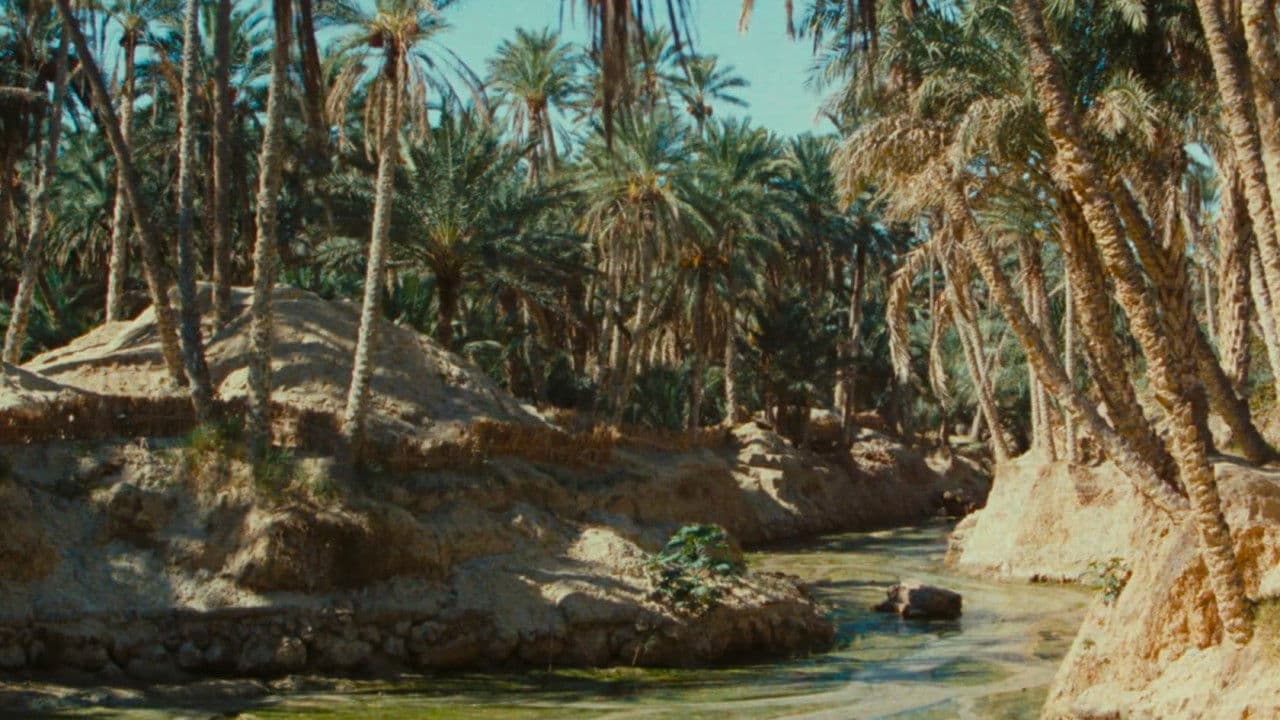 Zaa, petit chameau blanc