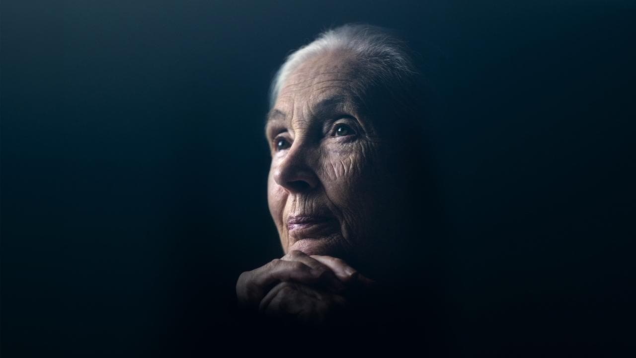 Jane: el legado