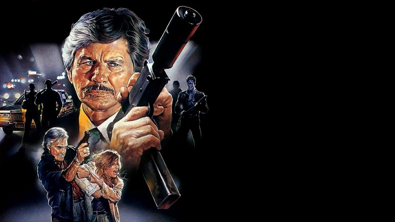 El vengador anónimo 4: El regreso del justiciero