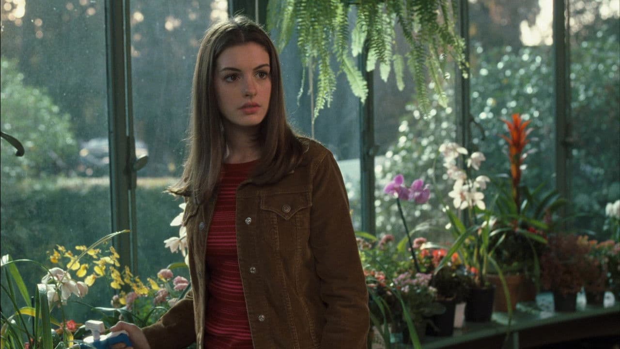 El Diario De La Princesa