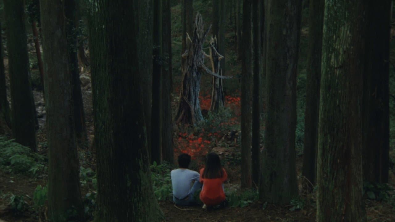 八月の狂詩曲