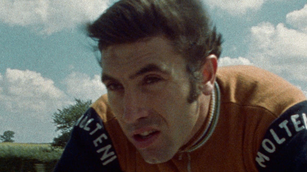 Eddy Merckx, dans la roue d'un champion