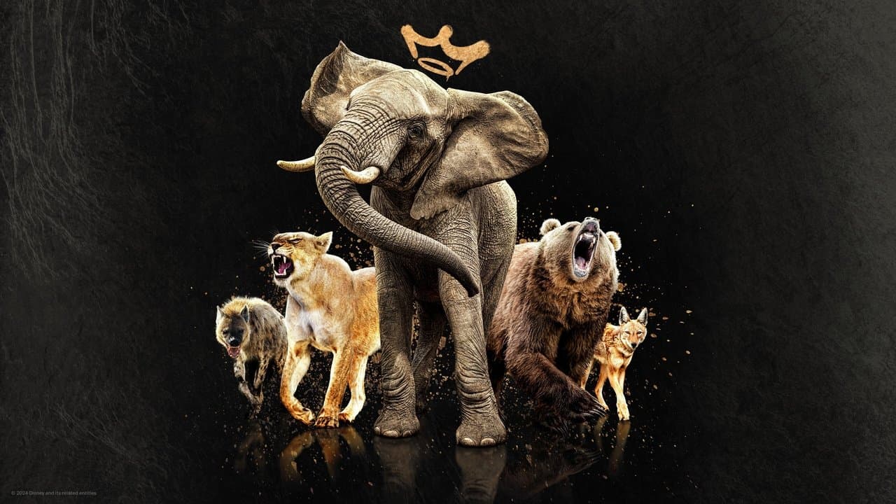 Reinas del mundo animal