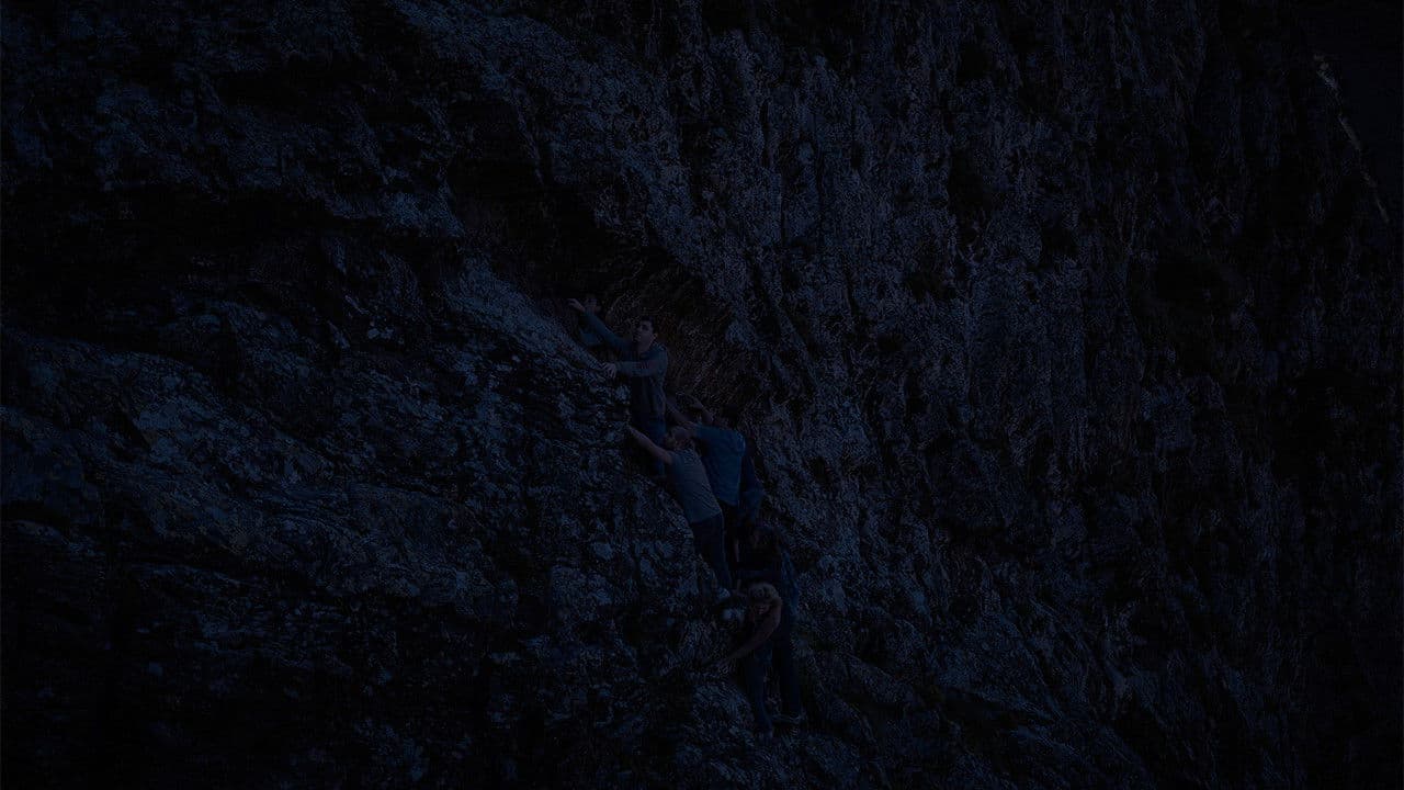 Безумные подражатели