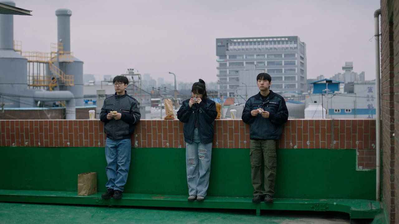 3학년 2학기
