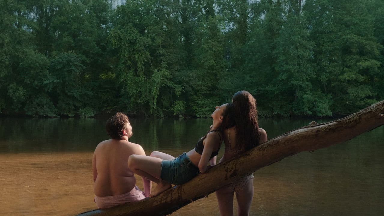 Paysage aux torchons