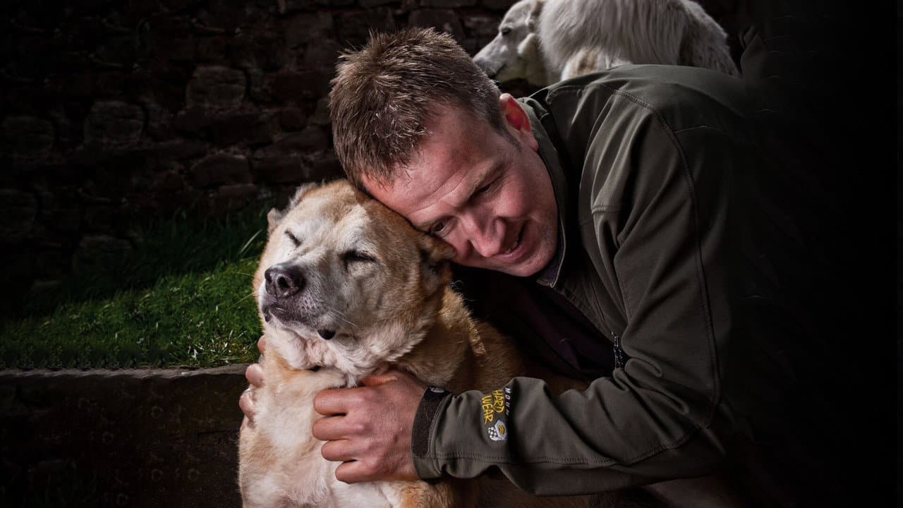 Animal Airlift: Escaping the Taliban