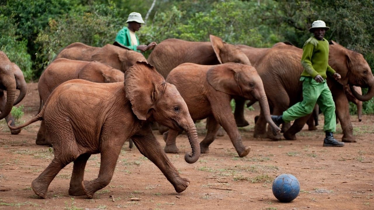 Nacidos para ser libres
