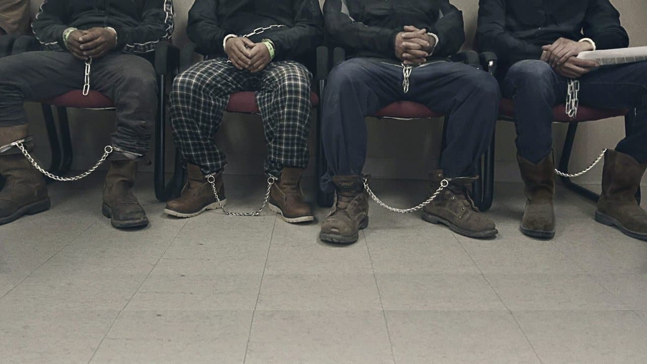 Nación de inmigración