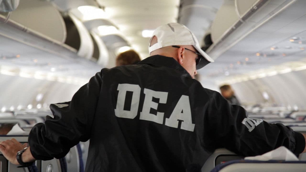 Infiltrados en la guerra de la coca