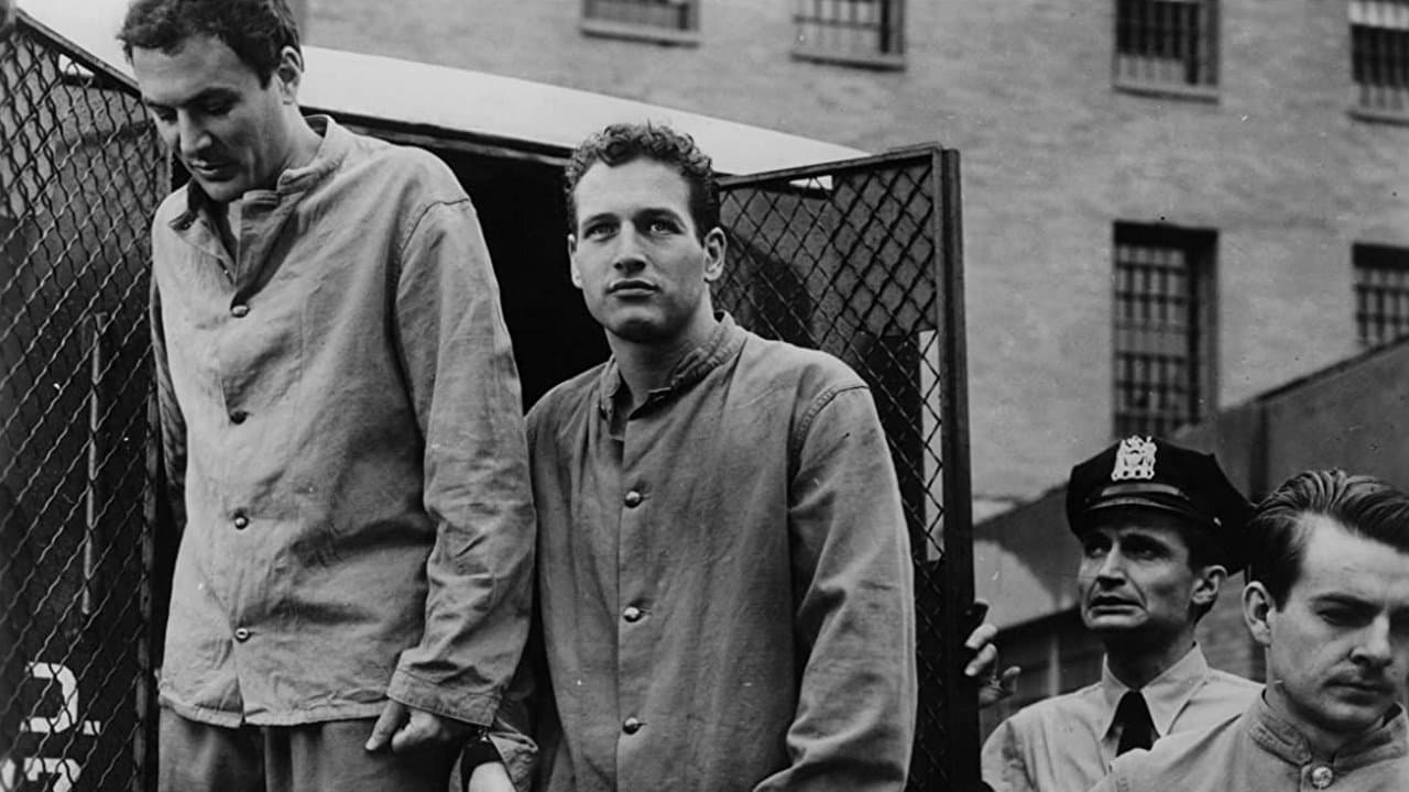 El estigma del arroyo