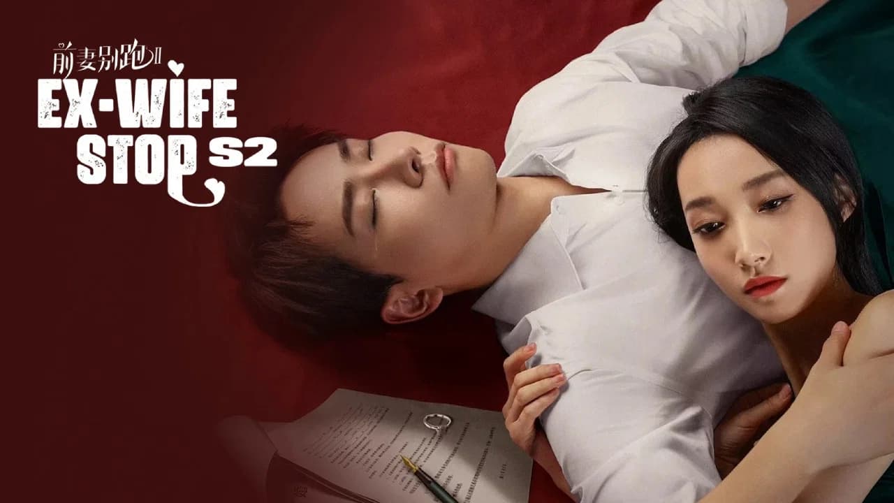 前妻别跑