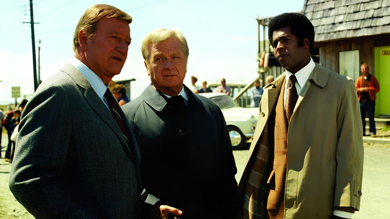 Detective implacable