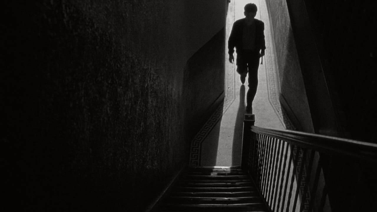 El clan de los irlandeses