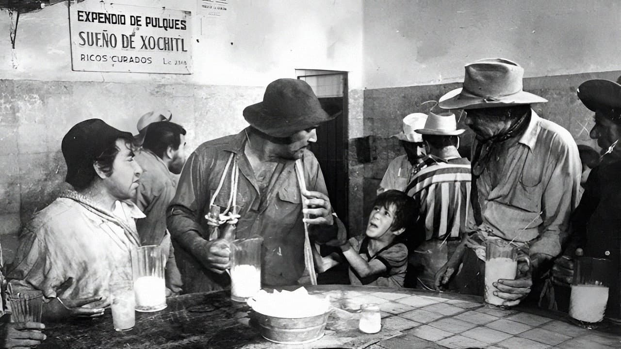 Los albañiles