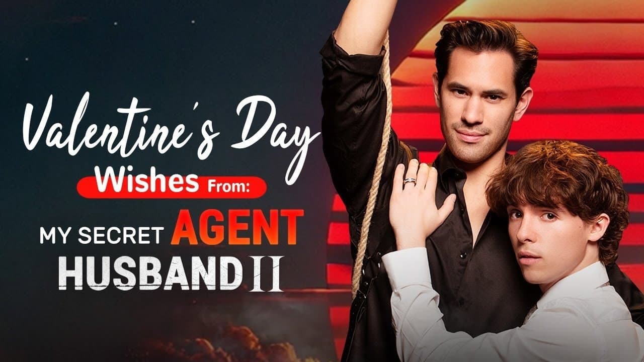 Mi Esposo Agente Secreto
