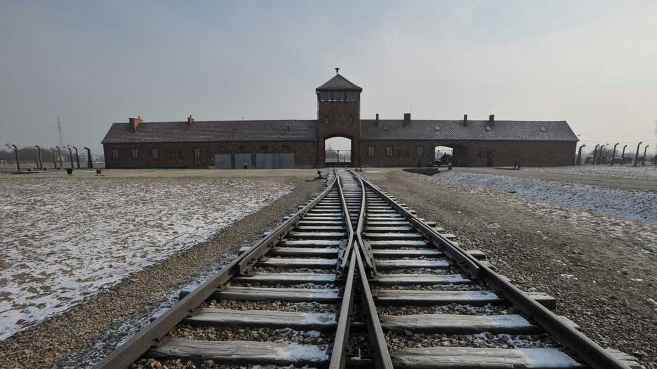 Születési helye: Auschwitz