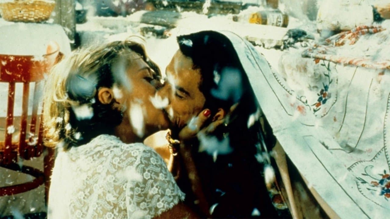 Gato negro, gato blanco