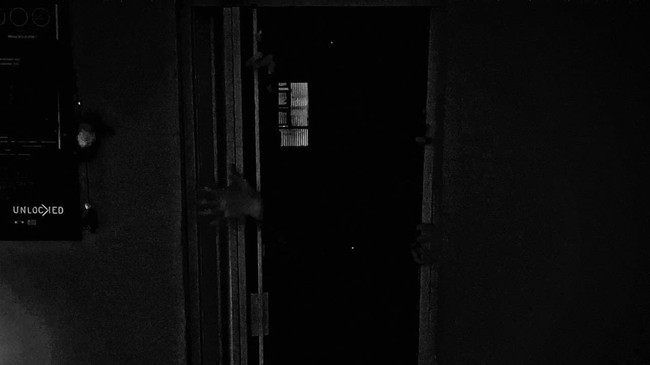 DEATH SENTENCE: LUCIDITY