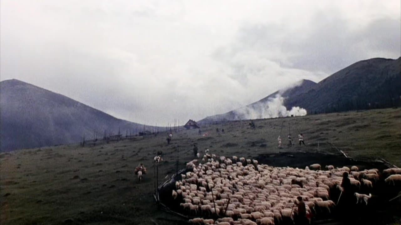 Тіні забутих предків