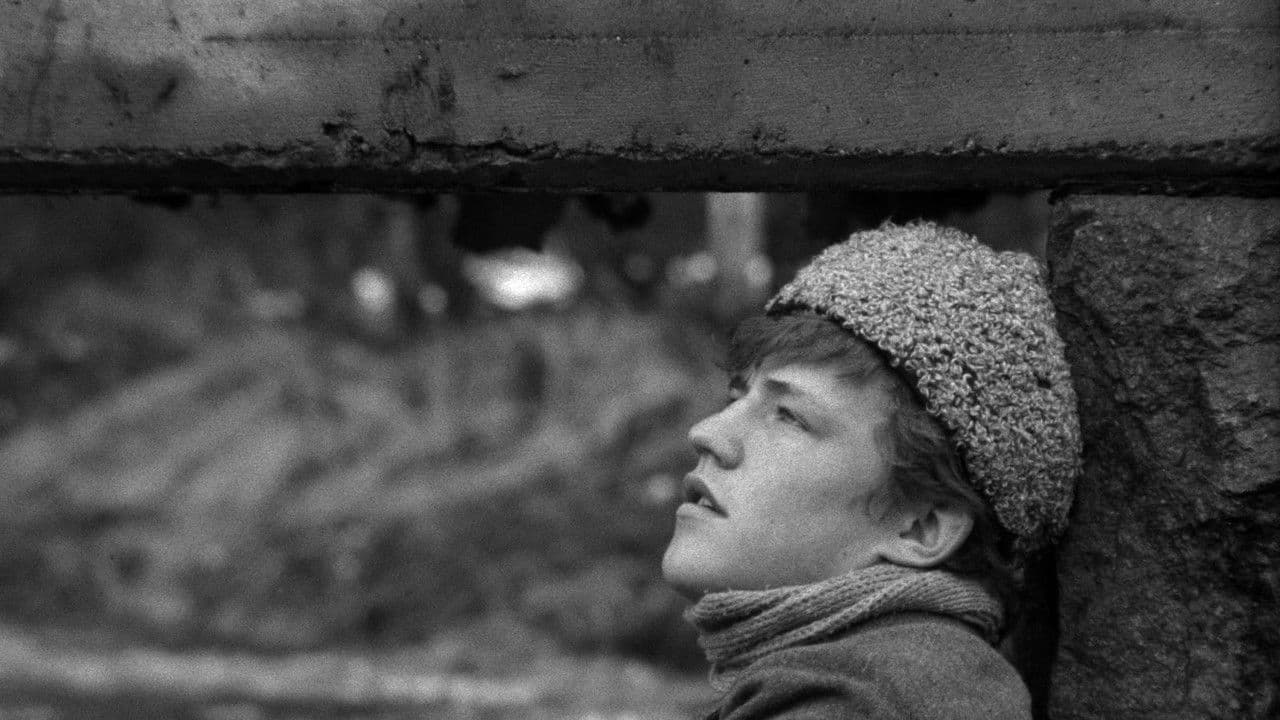 Här har du ditt liv