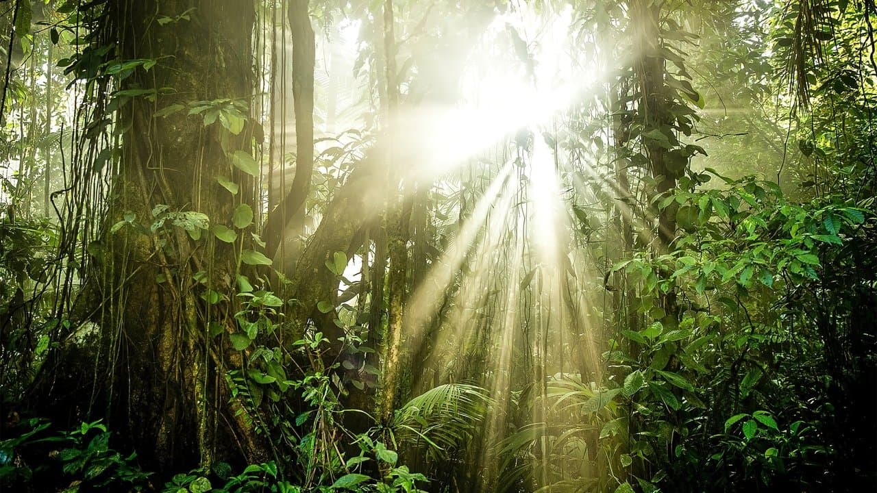 Planeta Verde