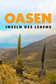 Oasen: Inseln des Lebens