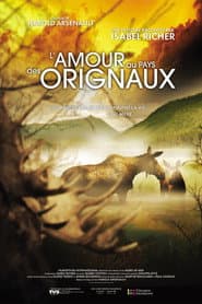 L'amour au pays des orignaux