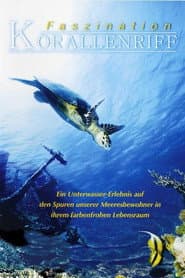 Faszination Korallenriff 3D