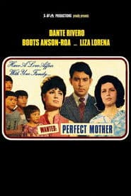 Wanted: Perfect Mother