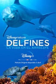 Arrecifes de delfines
