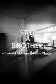 Still A Brother: Inside the Negro Middle Class