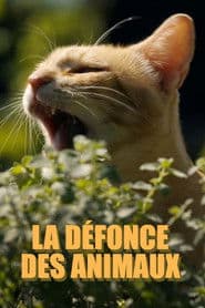 La défonce des animaux
