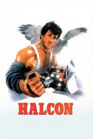 Halcón