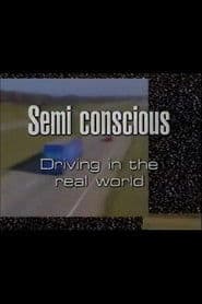 Semi-Conscious: Driving in the Real World