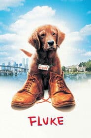 Mi amigo Fluke